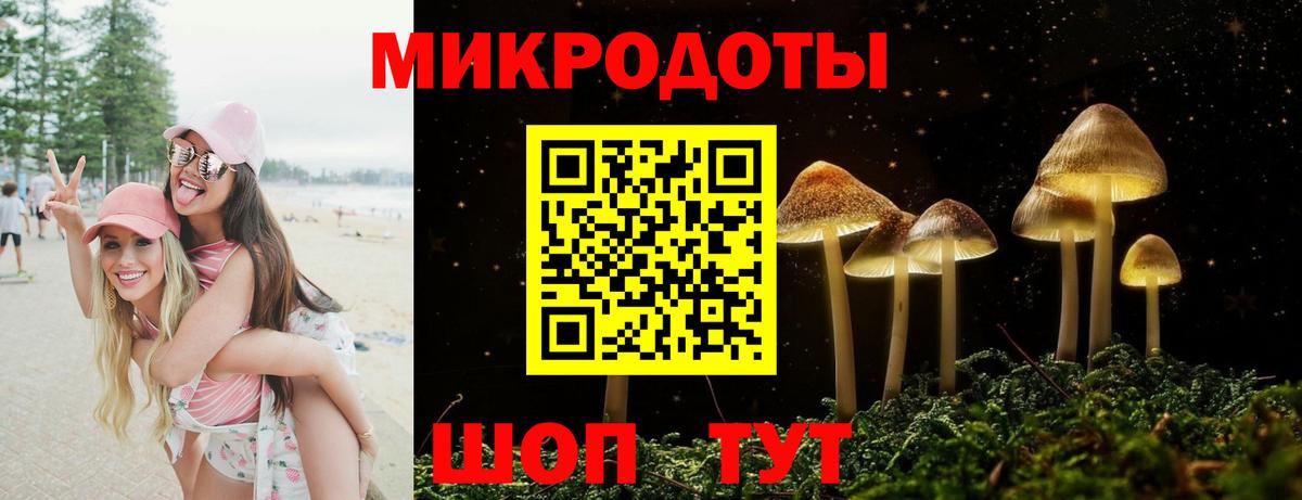 где продают наркотики  Вход с VPN  Городец  Галлюциногенные грибы GOLDEN TEACHER 