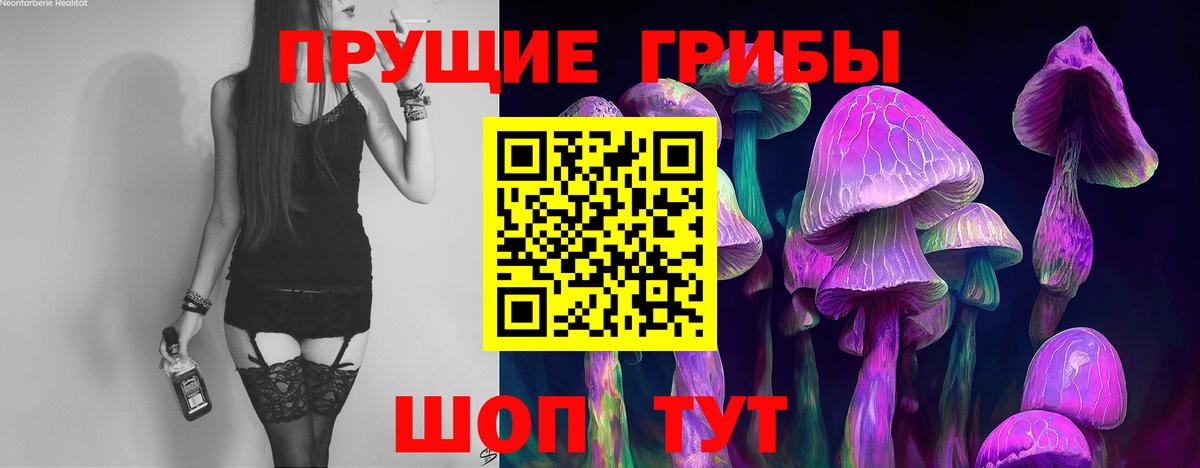 Псилоцибиновые грибы мицелий Городец